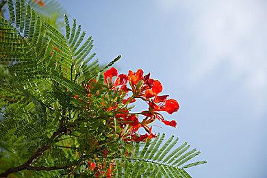 KK对战平台：全新姿态，重新起航再出发